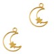 DQ Metal charm moon and star 19x14mm Gold